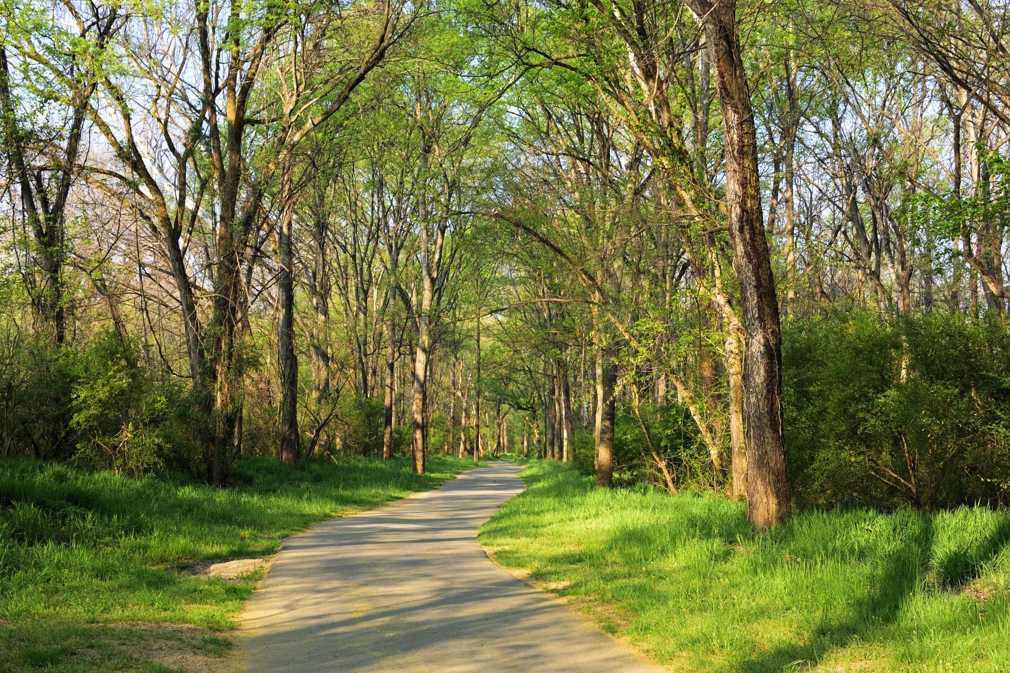 Fort Mill, Fort Mill, SC